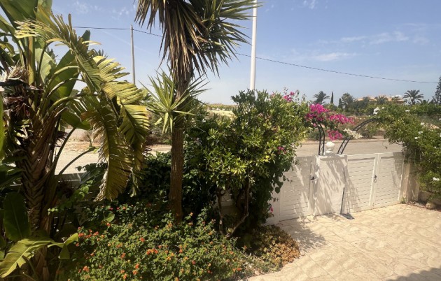 Sale - Detached house - Elche - El Pinet