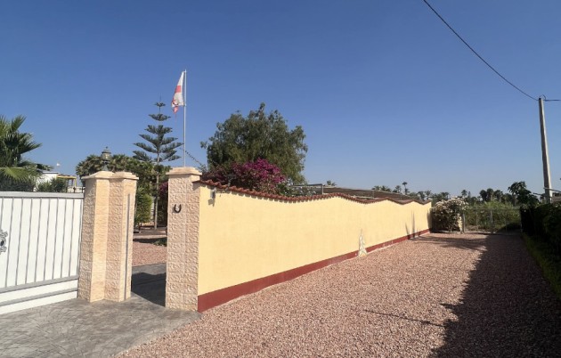 Sale - Finca - Elche - Partida Daimes, La Hoya