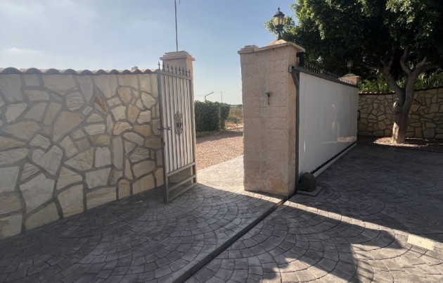 Sale - Finca - Elche - Partida Daimes, La Hoya