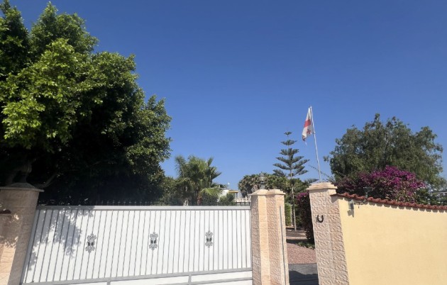 Sale - Finca - Elche - Partida Daimes, La Hoya