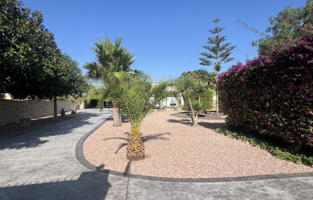 Sale - Finca - Elche - Partida Daimes, La Hoya