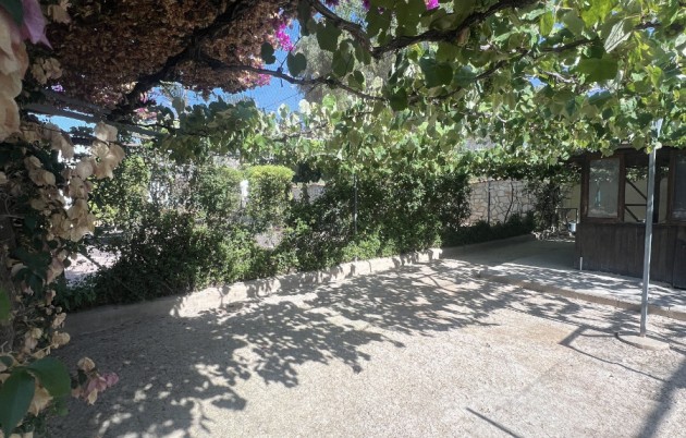 Sale - Finca - Elche - Partida Daimes, La Hoya