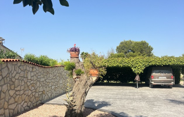 Sale - Finca - Elche - Partida Daimes, La Hoya