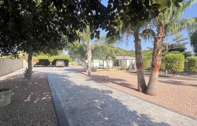 Sale - Finca - Elche - Partida Daimes, La Hoya