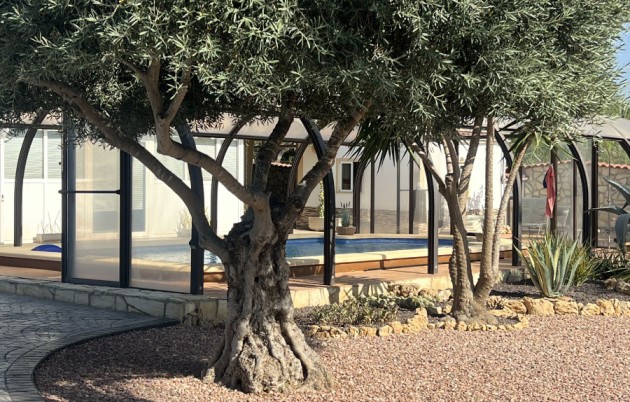 Sale - Finca - Elche - Partida Daimes, La Hoya