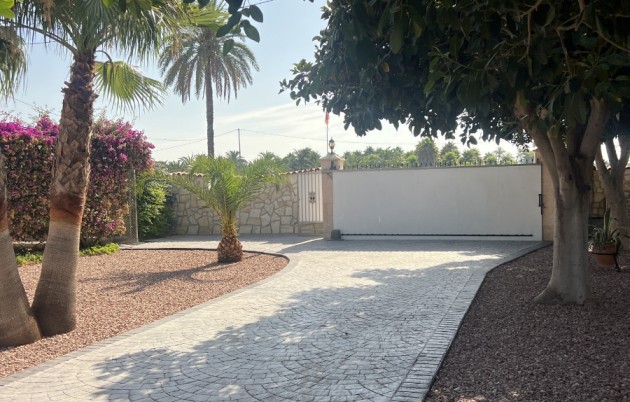 Sale - Finca - Elche - Partida Daimes, La Hoya