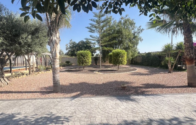 Sale - Finca - Elche - Partida Daimes, La Hoya