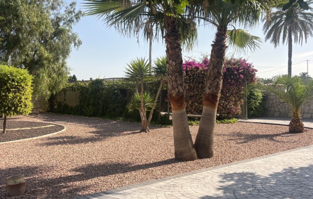 Sale - Finca - Elche - Partida Daimes, La Hoya
