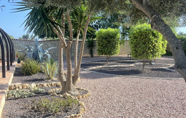 Sale - Finca - Elche - Partida Daimes, La Hoya