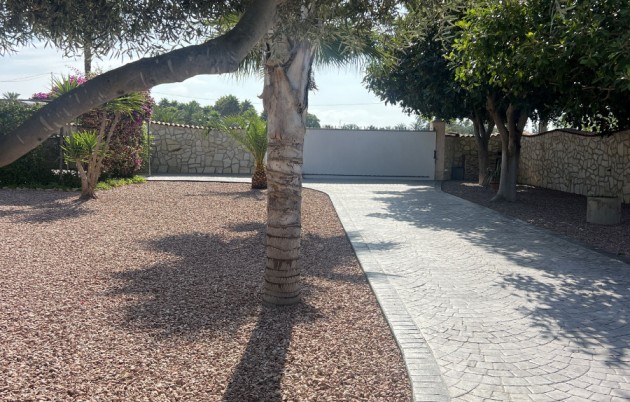 Sale - Finca - Elche - Partida Daimes, La Hoya
