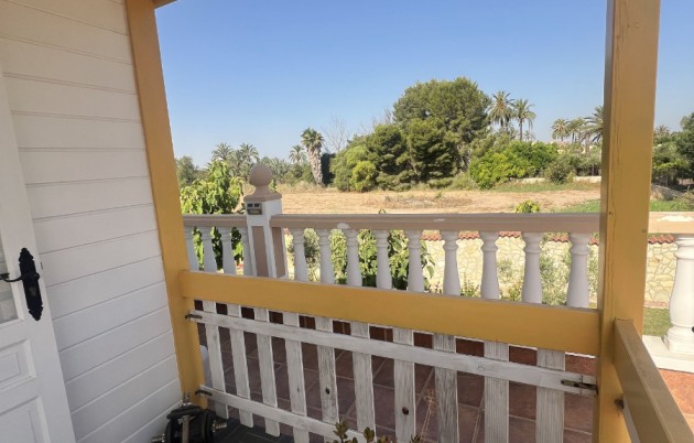 Sale - Finca - Elche - Partida Daimes, La Hoya