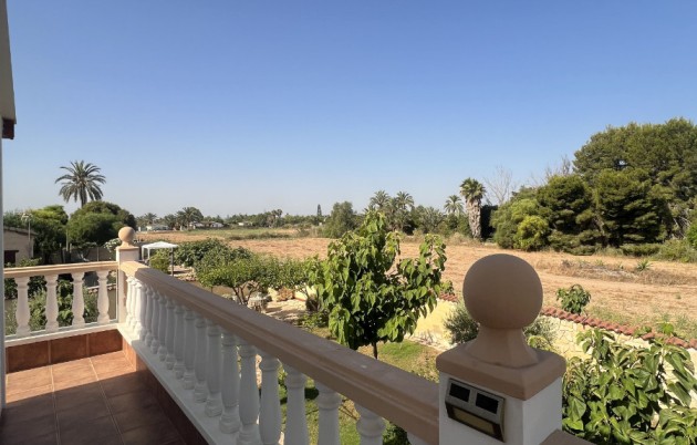 Sale - Finca - Elche - Partida Daimes, La Hoya