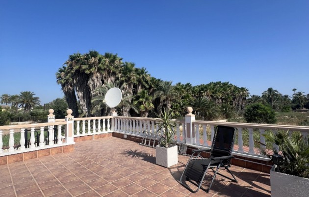 Sale - Finca - Elche - Partida Daimes, La Hoya