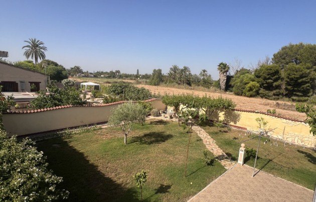 Sale - Finca - Elche - Partida Daimes, La Hoya