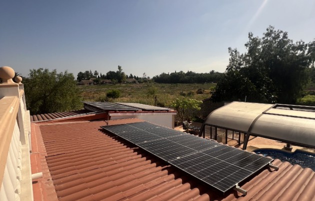 Sale - Finca - Elche - Partida Daimes, La Hoya