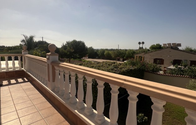 Sale - Finca - Elche - Partida Daimes, La Hoya