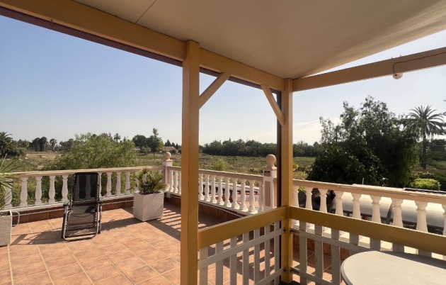 Sale - Finca - Elche - Partida Daimes, La Hoya