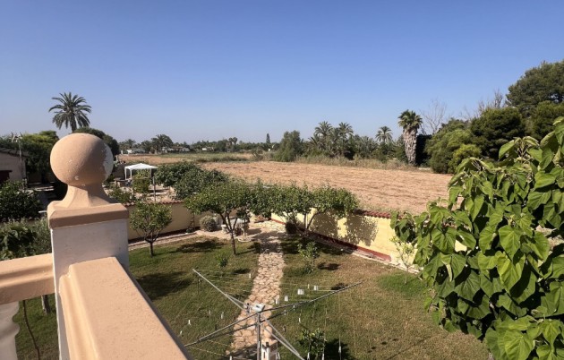 Sale - Finca - Elche - Partida Daimes, La Hoya