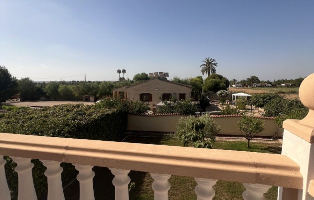 Sale - Finca - Elche - Partida Daimes, La Hoya