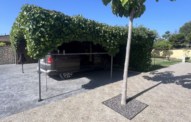 Sale - Finca - Elche - Partida Daimes, La Hoya