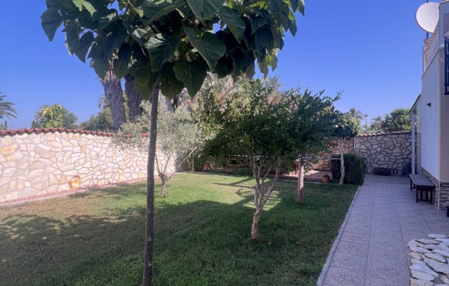 Sale - Finca - Elche - Partida Daimes, La Hoya