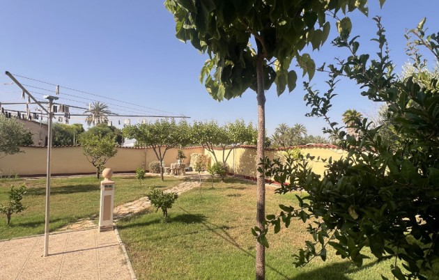 Sale - Finca - Elche - Partida Daimes, La Hoya
