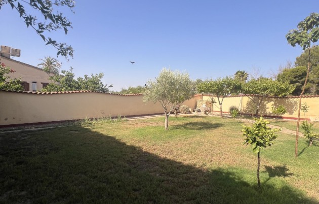 Sale - Finca - Elche - Partida Daimes, La Hoya