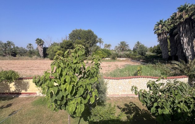 Sale - Finca - Elche - Partida Daimes, La Hoya