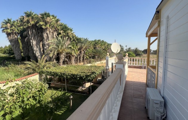 Sale - Finca - Elche - Partida Daimes, La Hoya