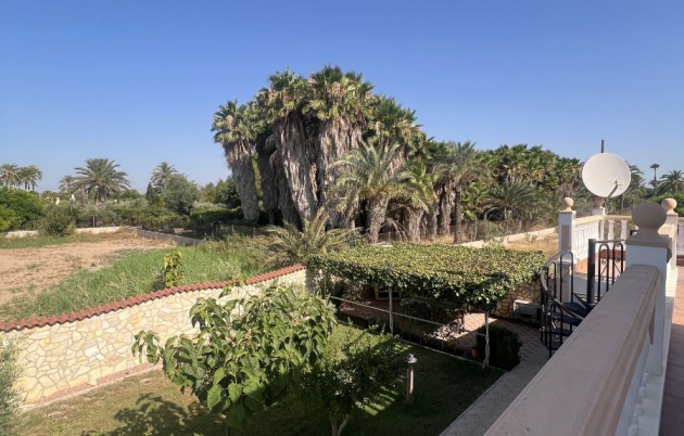 Sale - Finca - Elche - Partida Daimes, La Hoya