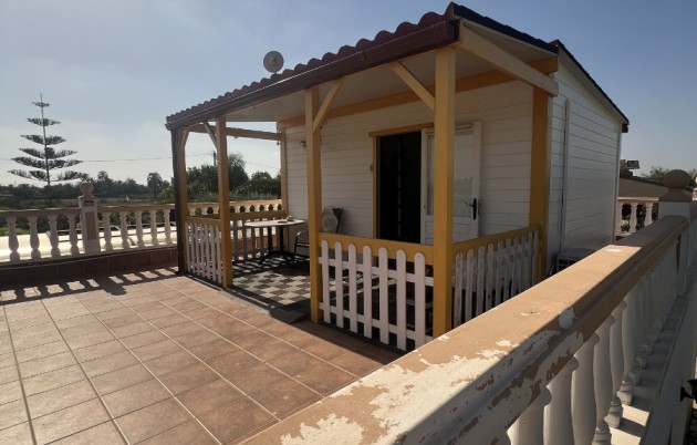 Sale - Finca - Elche - Partida Daimes, La Hoya