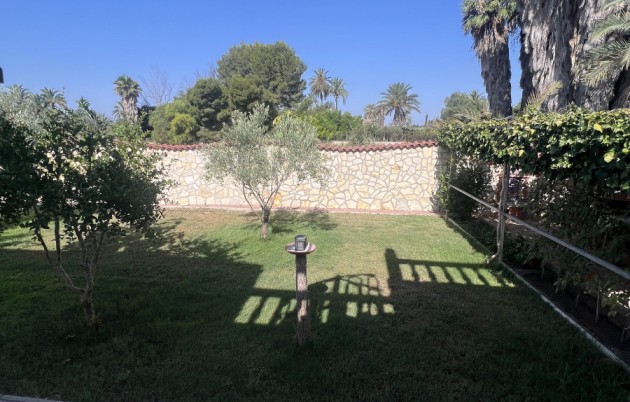 Sale - Finca - Elche - Partida Daimes, La Hoya