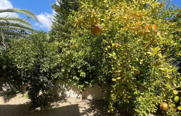 Sale - Villa - Rojales - Quesada